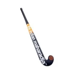 Stick Hockey The Indian Maharadja Gravity 20 MB BO