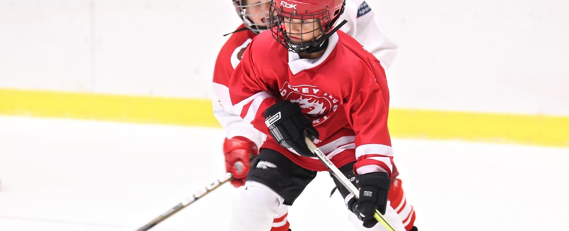 Tienda De Equipos De Hockey 9 Tienda De Equipos De Hockey -Tienda De Equipos De Hockey hockey 2274221 1920